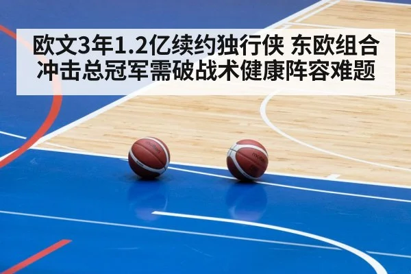 Dallas Mavericks basketball(jiuyouhui)